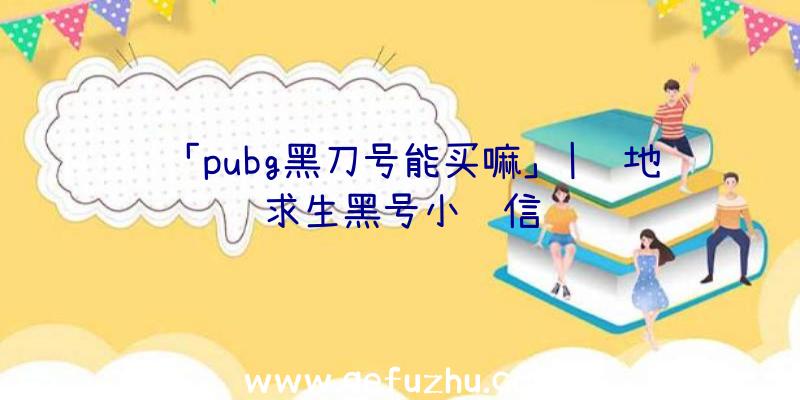 「pubg黑刀号能买嘛」|绝地求生黑号小红信